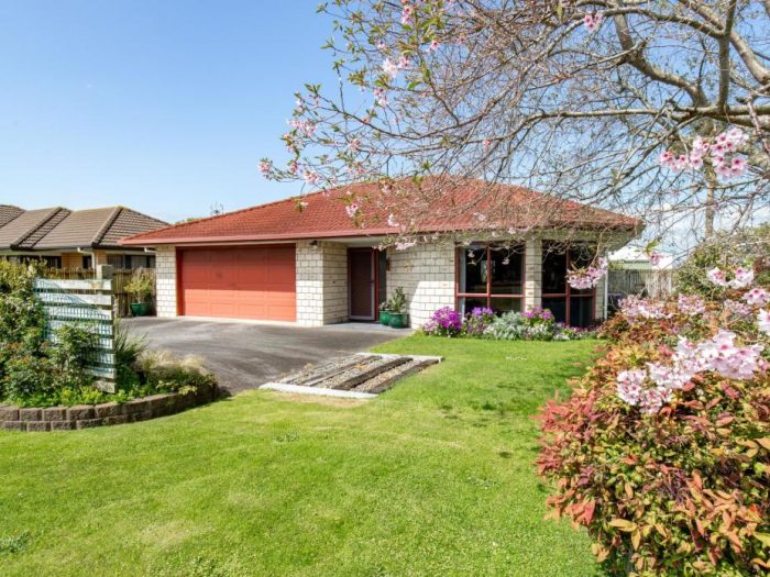 8 Harris Place, Ngatea, Hauraki, Waikato, 3503, New Zealand