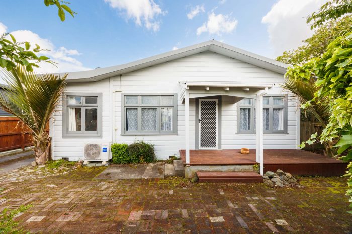 17 Haydon Street, Roslyn, Palmerston North, Manawatu / Whanganui, 4414, New Zealand