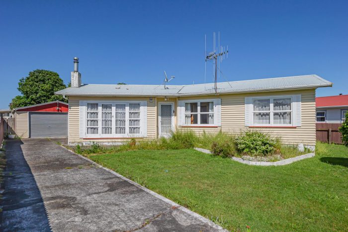 10 Ross Street, Levin, Horowhenua, Manawatu / Whanganui, 5510, New Zealand