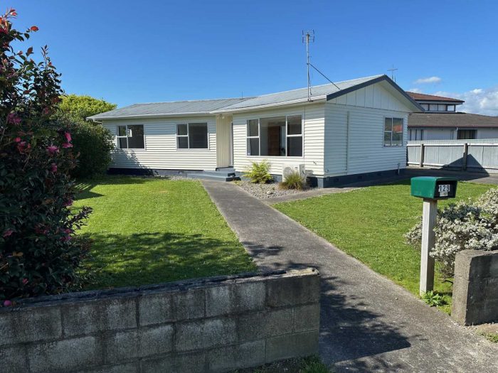 129 Liverpool Street, Levin, Horowhenua, Manawatu / Whanganui, 5510, New Zealand