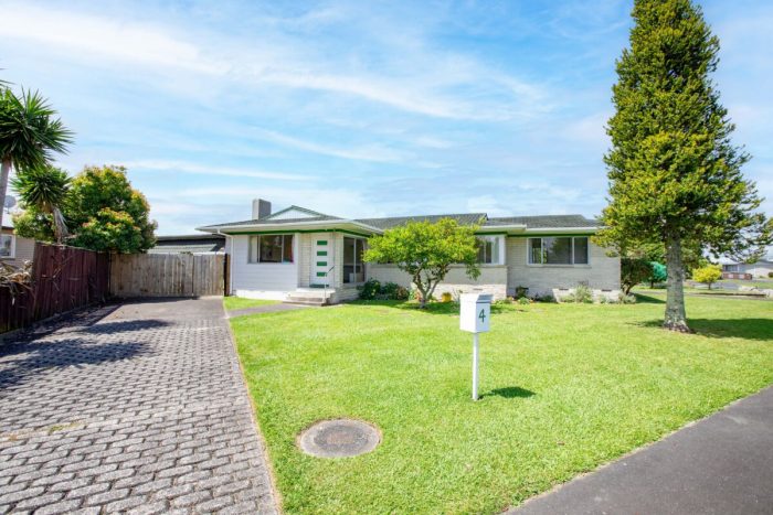 4 Mooney Street, Nawton, Hamilton, Waikato, 3200, New Zealand