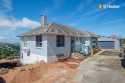 61 Cockerell Street, Brockville, Dunedin, Otago, 9011, New Zealand