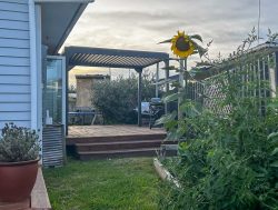 8 Deanwell Avenue, Deanwell, Hamilton, Waikato, 3206, New Zealand