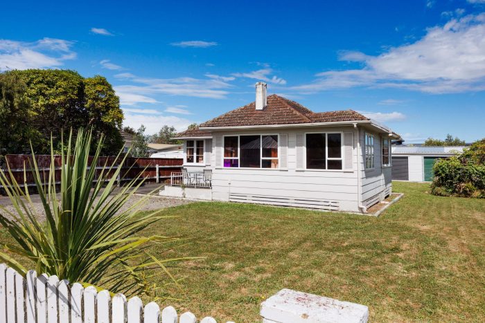 48 Tweed Street, Roslyn, Palmerston North, Manawatu / Whanganui, 4414, New Zealand