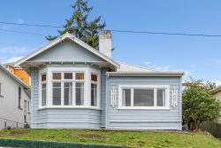 12 Burnett Street, Calton Hill, Dunedin, Otago, 9012, New Zealand