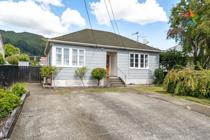 17 Collett Street, Naenae, Lower Hutt, Wellington, 5011, New Zealand