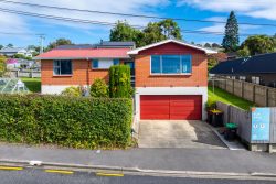 6 Gibson Street, Wakari, Dunedin, Otago, 9010, New Zealand