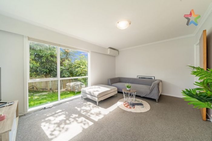 120 Kings Crescent, Lower Hutt, Wellington, 5010, New Zealand