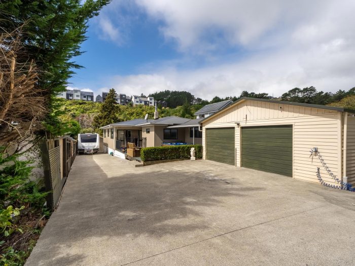 23 Willowbank Road, Tawa, Wellington, 5028, New Zealand