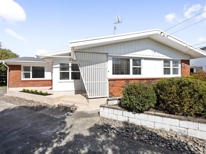 29 Winter Street, Fairfield, Hamilton, Waikato, 3214, New Zealand