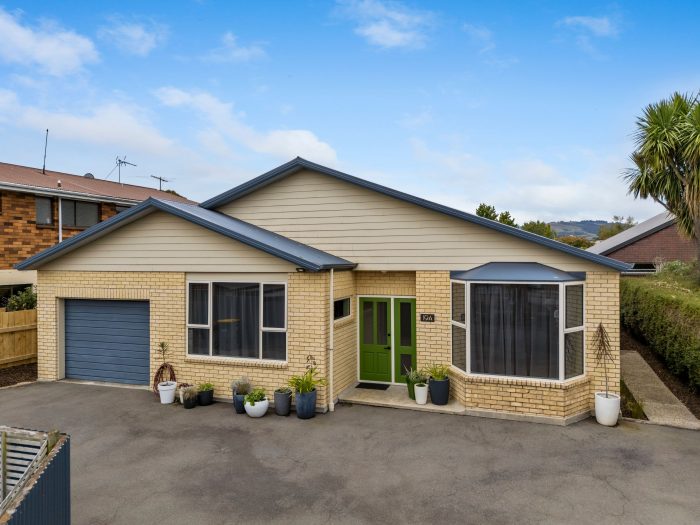 19A Gordon Road, Mosgiel, Dunedin, Otago, 9024, New Zealand