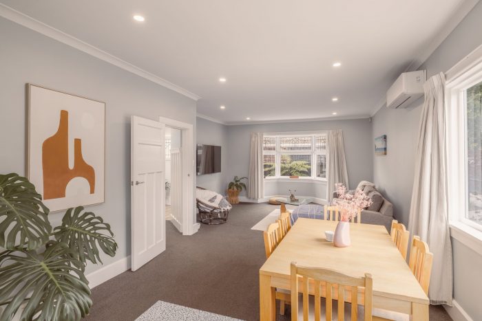 29 Harrison Street Mairehau Christchurch City Canterbury 8013 New Zealand
