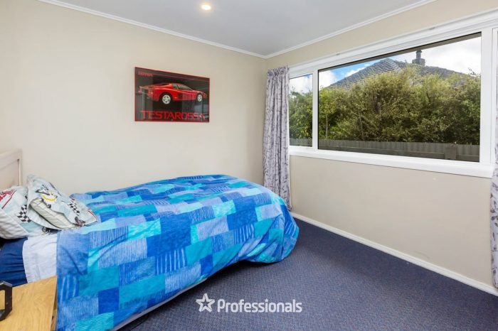 53 Hudson Avenue, Ebdentown, Upper Hutt, Wellington, 5018, New Zealand