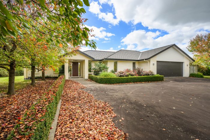 105 Pharazyn Street Feilding Manawatu Manawatu/Whanganui 4702 New Zealand