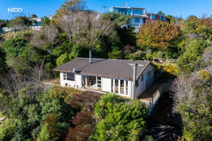 38A Somerville Street, Andersons Bay, Dunedin, Otago, 9013, New Zealand
