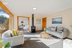 38A Somerville Street, Andersons Bay, Dunedin, Otago, 9013, New Zealand