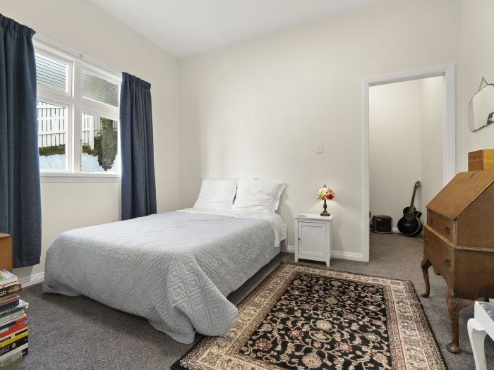 27 Bruce Street, Roslyn, Dunedin, Otago, 9011, New Zealand