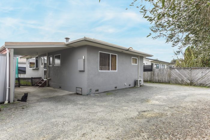 2/49 Green Street, Tahunanui, Nelson, Nelson / Tasman, 7011, New Zealand