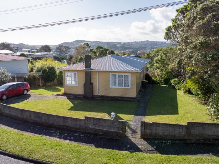 51 Leicester Street, Cannons Creek, Porirua, Wellington, 5024, New Zealand