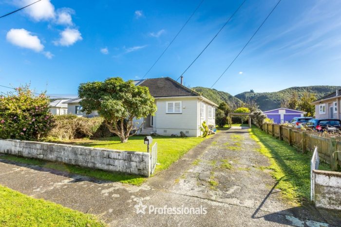 17 Peck Street, Taita, Lower Hutt, Wellington, 5011, New Zealand