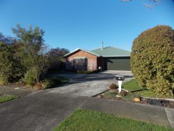 53 Clarke Avenue, Highbury, Palmerston North, Manawatu / Whanganui, 4412, New Zealand
