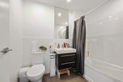 8/24 Princess Terrace, Newtown, Wellington, 6021, New Zealand