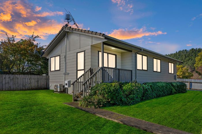17 Topaz Street, Birchville, Upper Hutt, Wellington, 5018, New Zealand