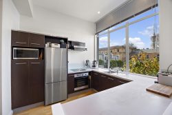 8 Telpher Street, Freemans Bay, Auckland, 1010, New Zealand