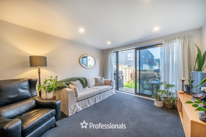 16 Te Ara o Ripeka Wharawhara, Petone, Lower Hutt, Wellington, 5012, New Zealand