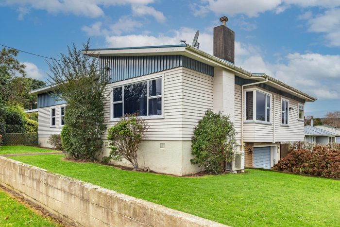 2 Argyle Avenue, Levin, Horowhenua, Manawatu / Whanganui, 5510, New Zealand