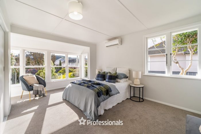 54 Colson Street, Avalon, Lower Hutt, Wellington, 5011, New Zealand