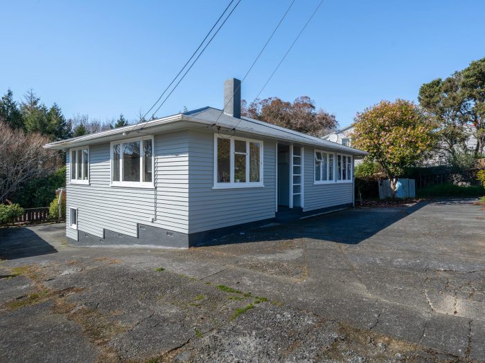 155 Castor Crescent, Cannons Creek, Porirua, Wellington, 5024, New Zealand