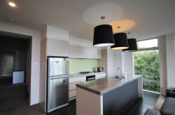 313 High Street, Central Dunedin, Dunedin, Otago, 9016, New Zealand