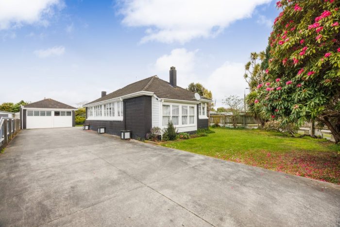110 Limbrick Street, Terrace End, Palmerston North, Manawatu / Whanganui, 4410, New Zealand