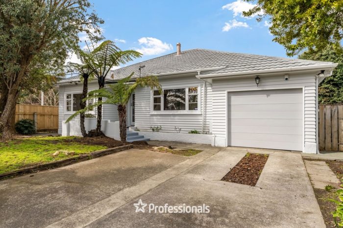 226 Waiwhetu Road, Waterloo, Lower Hutt, Wellington, 5011, New Zealand