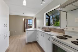 12B Douglas Street, Levin, Horowhenua, Manawatu / Whanganui, 5510, New Zealand