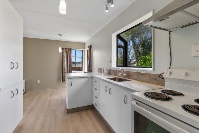 12B Douglas Street, Levin, Horowhenua, Manawatu / Whanganui, 5510, New Zealand