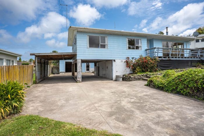 12 Second Avenue, Dargaville, Kaipara, Northland, 0310, New Zealand