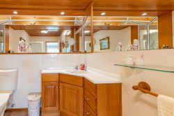 309 School Road, West Eyreton, Waimakariri, Canterbury, 7475, New Zealand