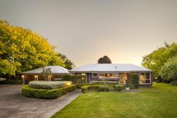 272 Bedford Road, Te Kowhai, Waikato, 3288, New Zealand