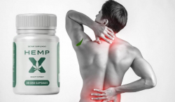 Does Hemp X CBD Really Work? The Science Behind the Hype