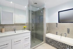42B Redwing Street, Browns Bay, North Shore City, Auckland, 0630, New Zealand