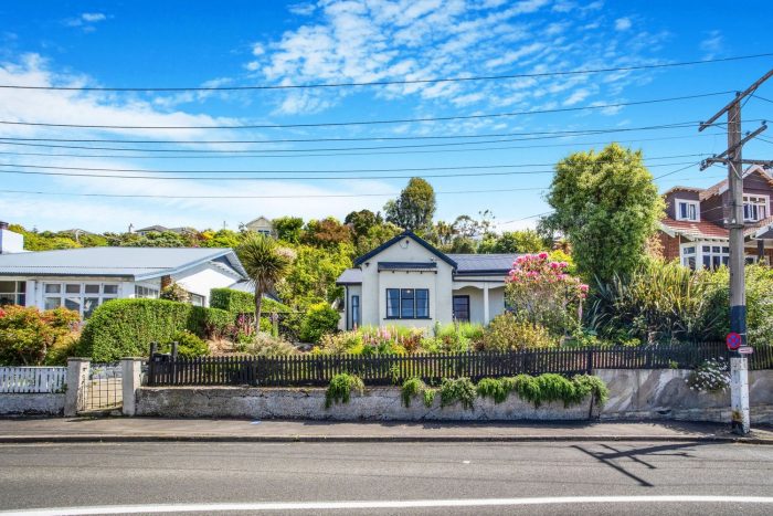 38 Allandale Road, Saint Clair, Dunedin, Otago, 9012, New Zealand