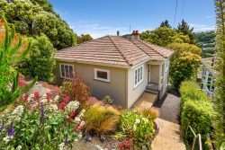 46 & 48 Ryehill Street, Calton Hill, Dunedin, Otago, 9012, New Zealand
