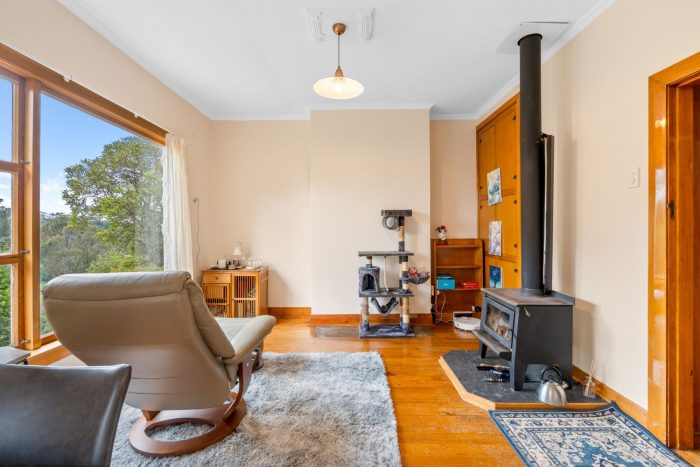 46 & 48 Ryehill Street, Calton Hill, Dunedin, Otago, 9012, New Zealand