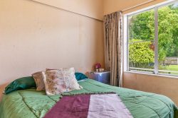 366 Arapaepae Road, Levin, Horowhenua, Manawatu / Whanganui, 5571, New Zealand