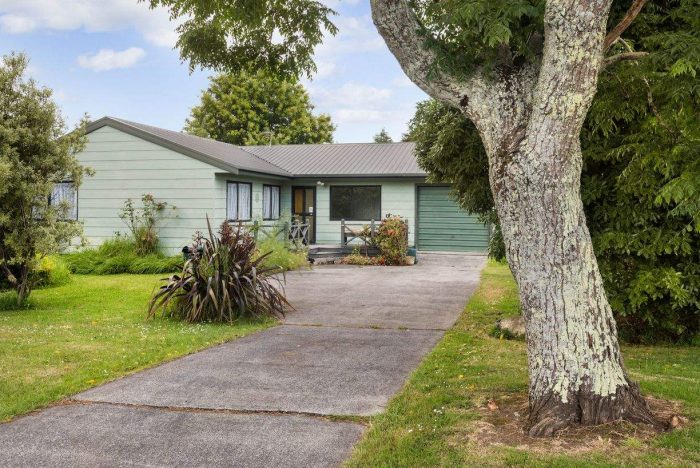 42 Puke Road, Paeroa, Hauraki, Waikato, 3600, New Zealand