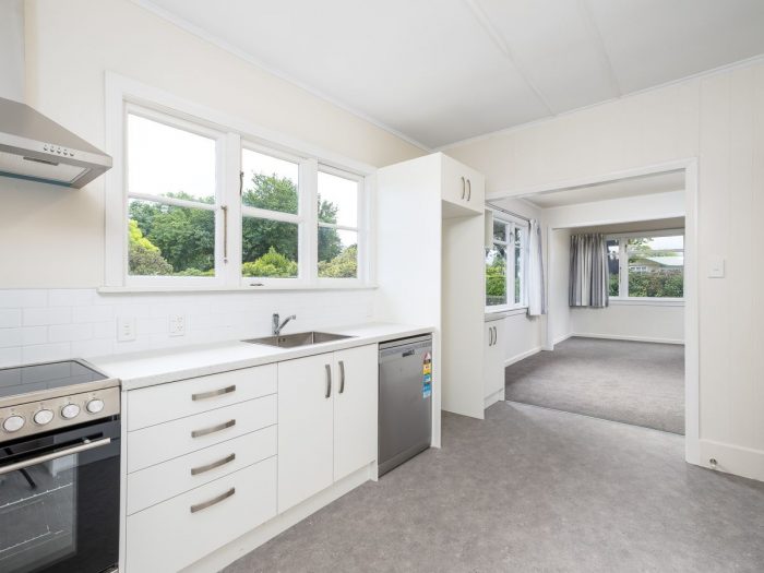 163 Queen Street, Waimate, Canterbury, 7924, New Zealand