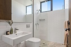 41 Craig Road, Milford, North Shore City, Auckland, 0620, New Zealand