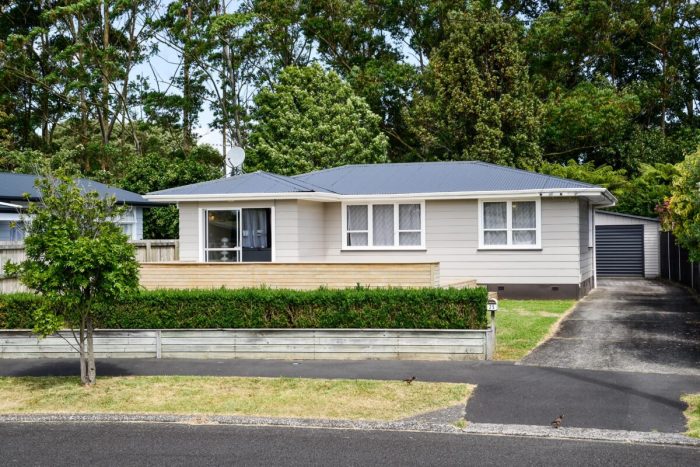 25 Fitzroy Avenue, Fitzroy, Hamilton, Waikato, 3206, New Zealand